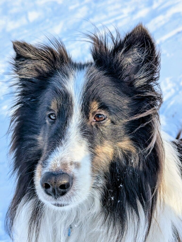 The current image has no alternative text. The file name is: Blog-3-scaled.jpg